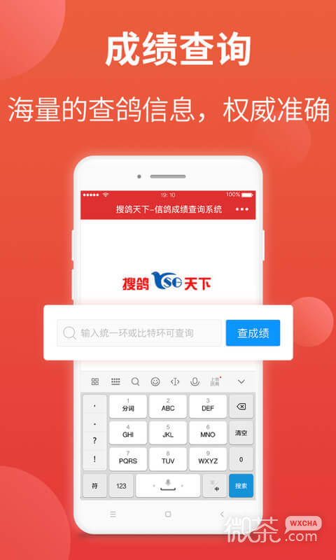 搜鸽天下