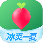 叮咚买菜配送版