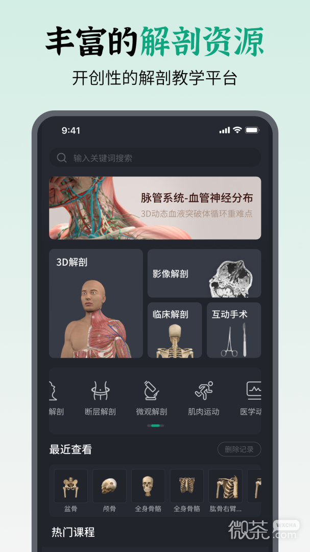 万康人体解剖