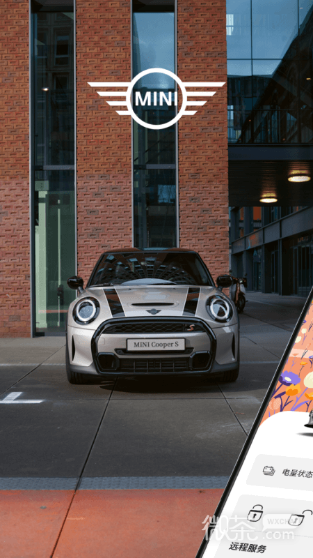 MINI