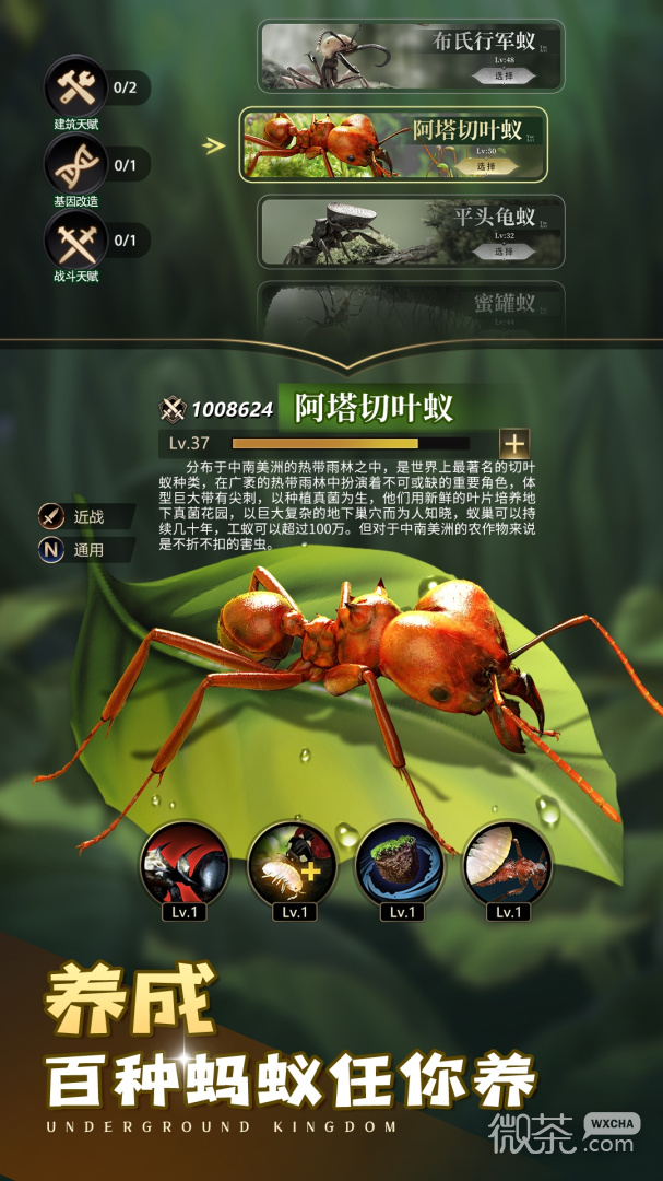 小小蚁国内置菜单版
