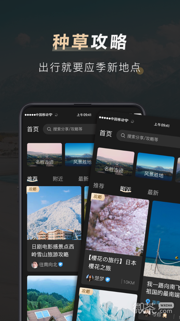 他陪旅行
