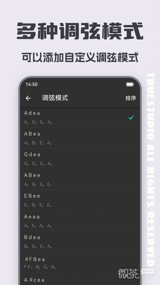 琵琶调音器