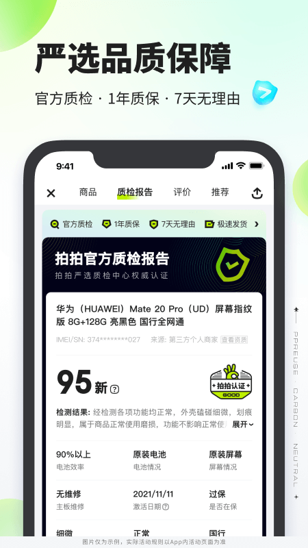 拍拍