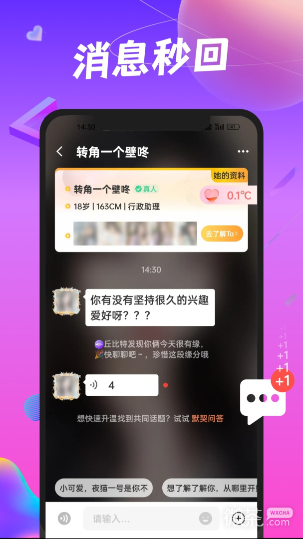凑对