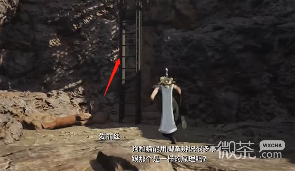 《最终幻想7：重生》祈安珠获取攻略