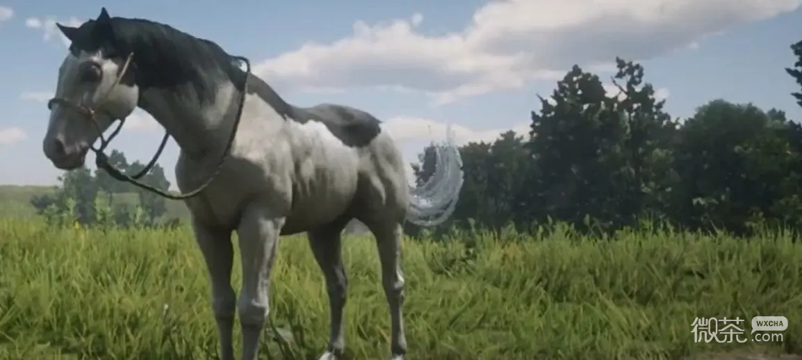 《荒野大镖客：救赎2》稀有马匹全收集攻略