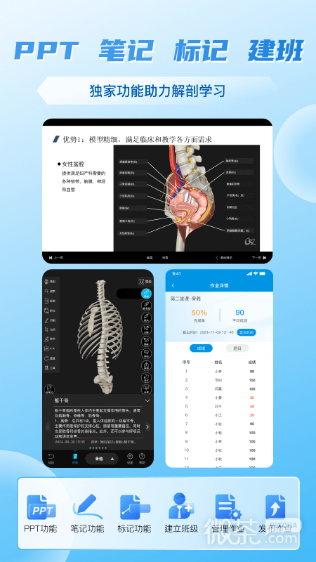 维萨里3D解剖