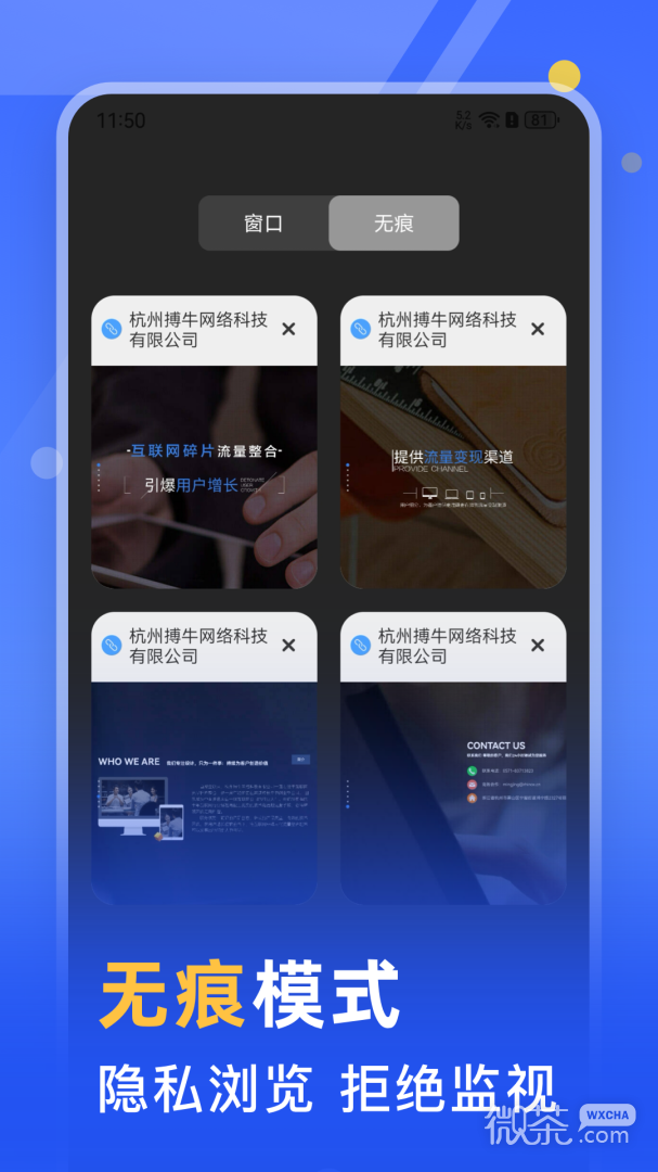 秘密浏览器