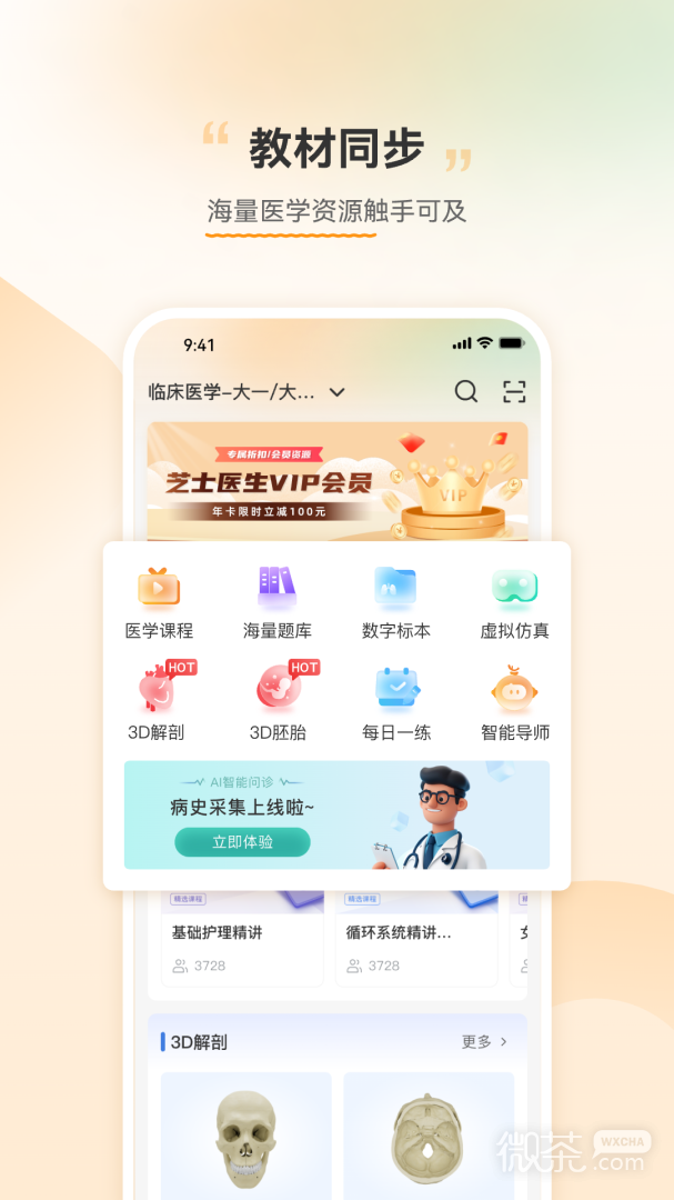 芝士医生