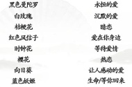 《汉字找茬王》花语连连看通关指南