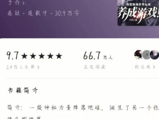高质量小说
