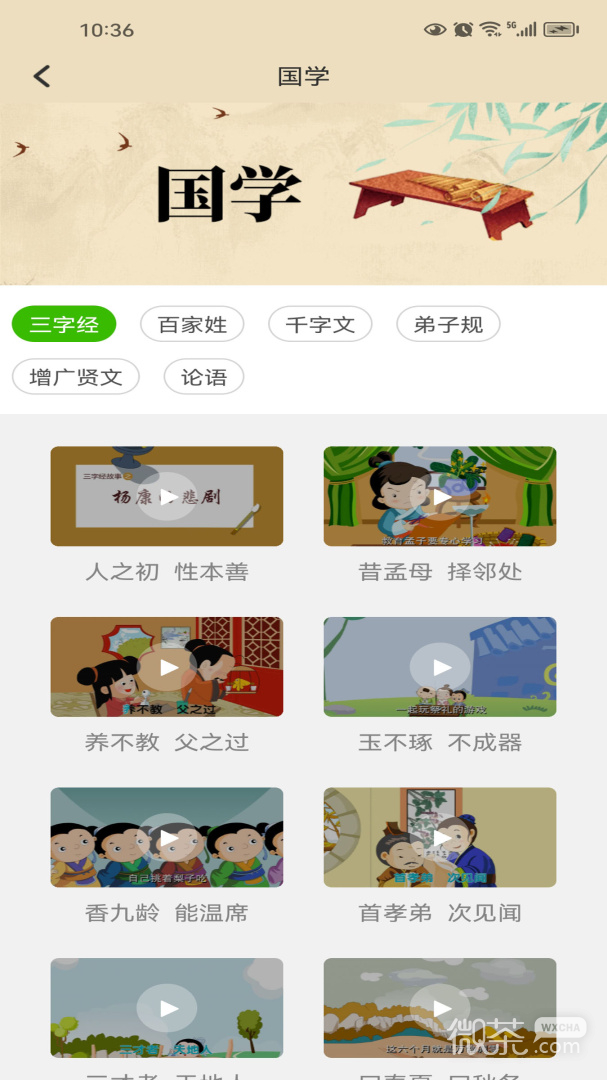 小学课程名师辅导