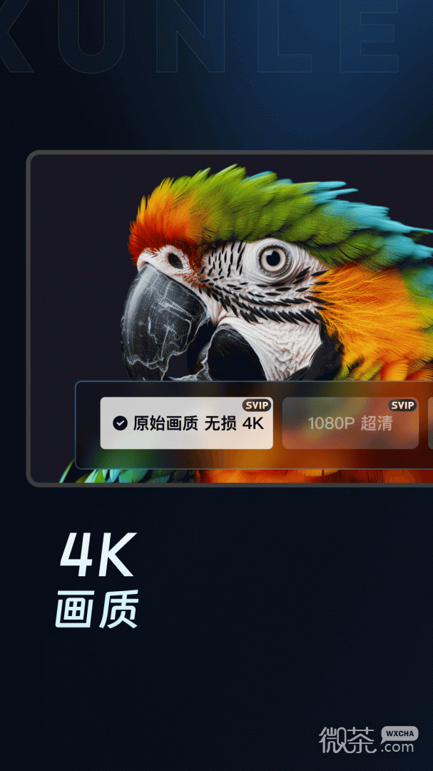 迅雷云盘