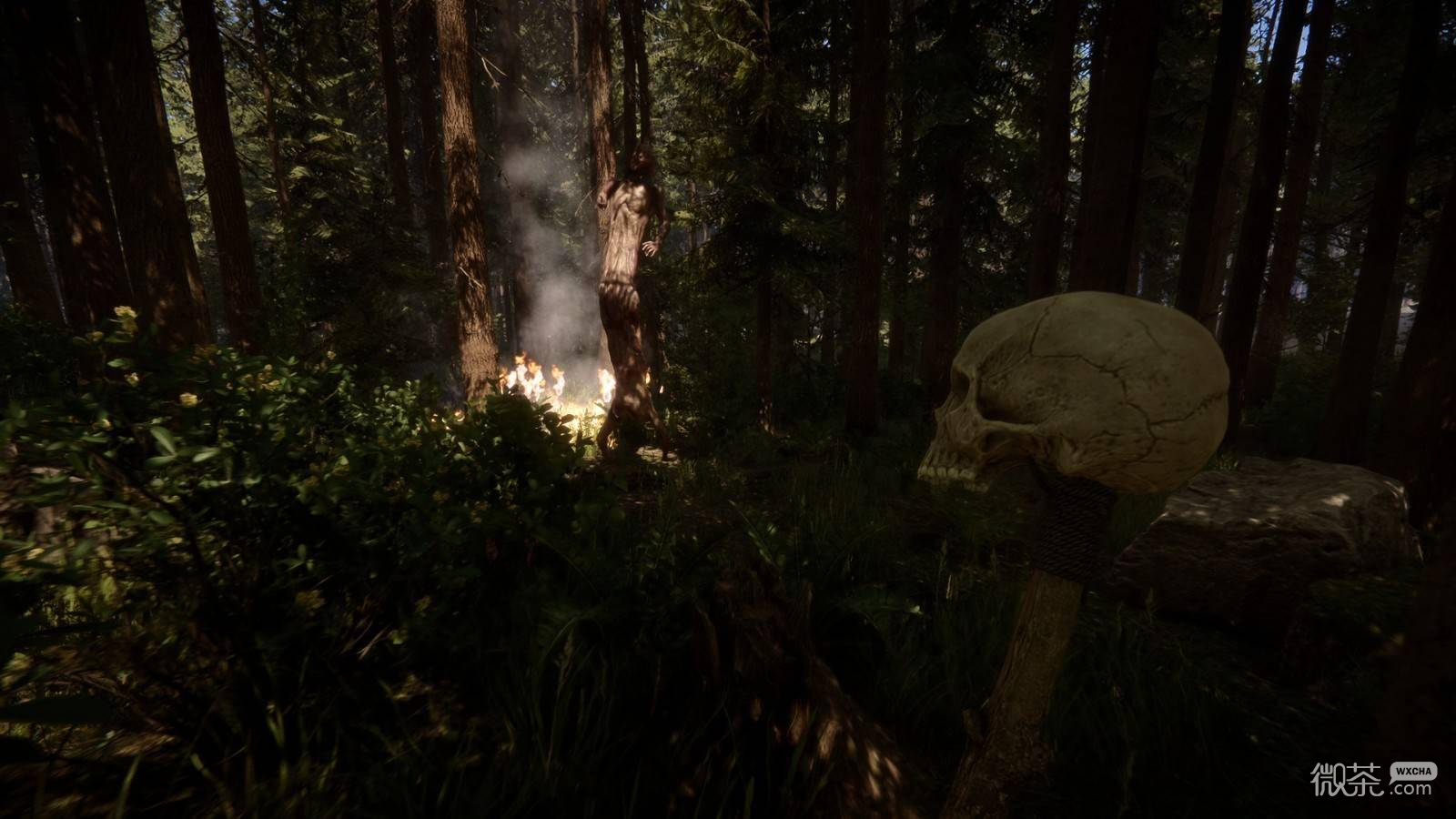 《森林之子》3D打印机及手枪位置一览