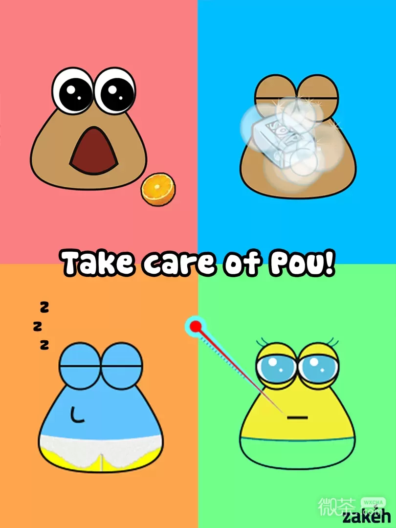 Pou