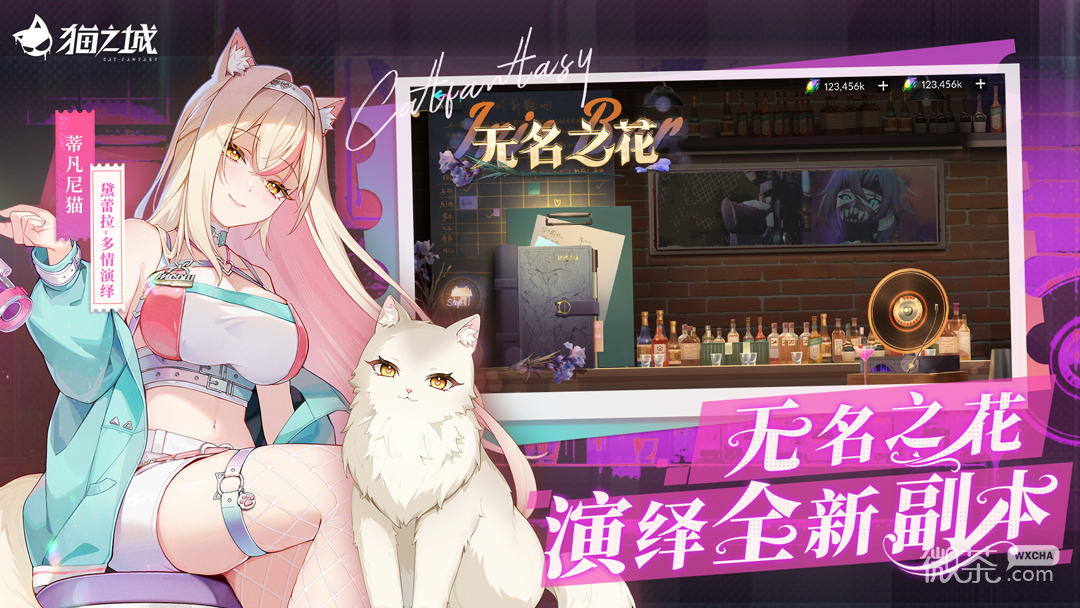 猫之城