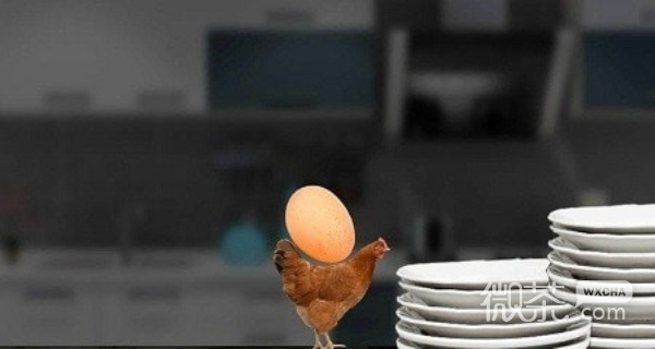 母鸡护蛋模拟器