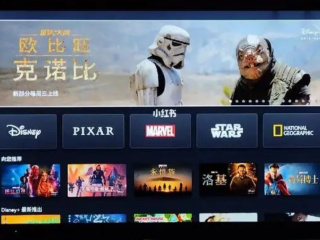 能看网飞剧的