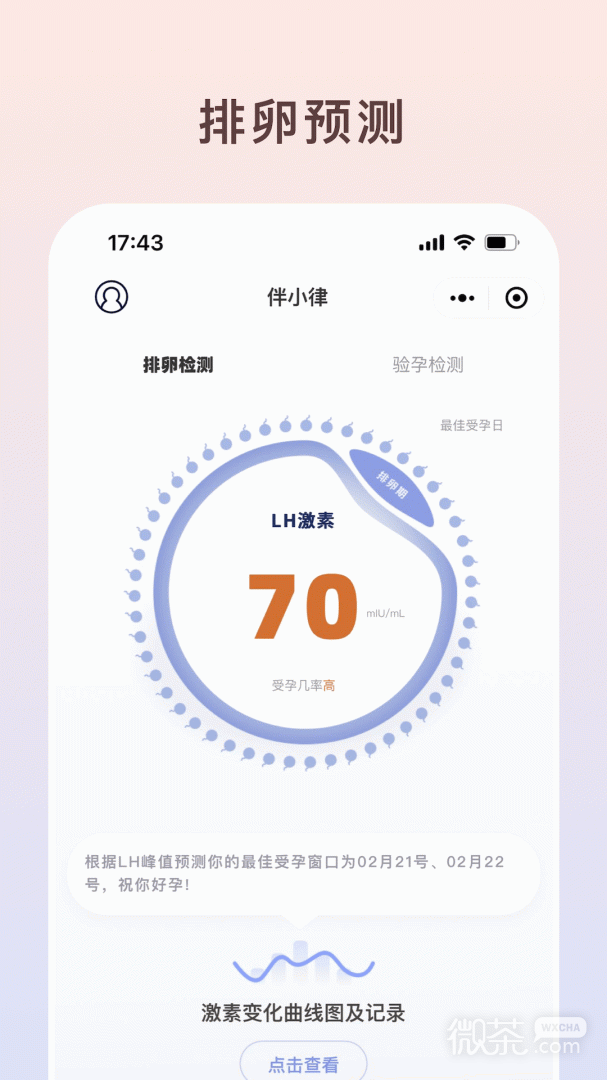 伴小律