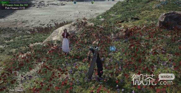 《最终幻想7：重生》支线“山丘上绽放的花”完成方法