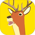 非常普通的鹿正式版游戏