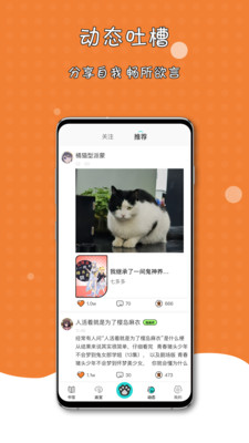 橘子猫轻小说稳定版