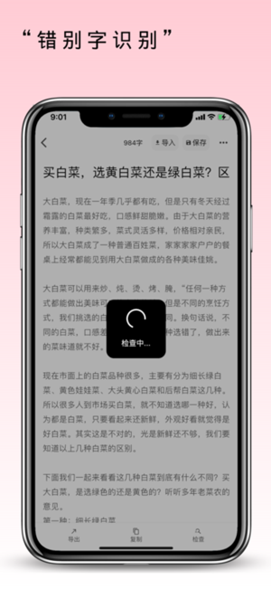 错别字识别
