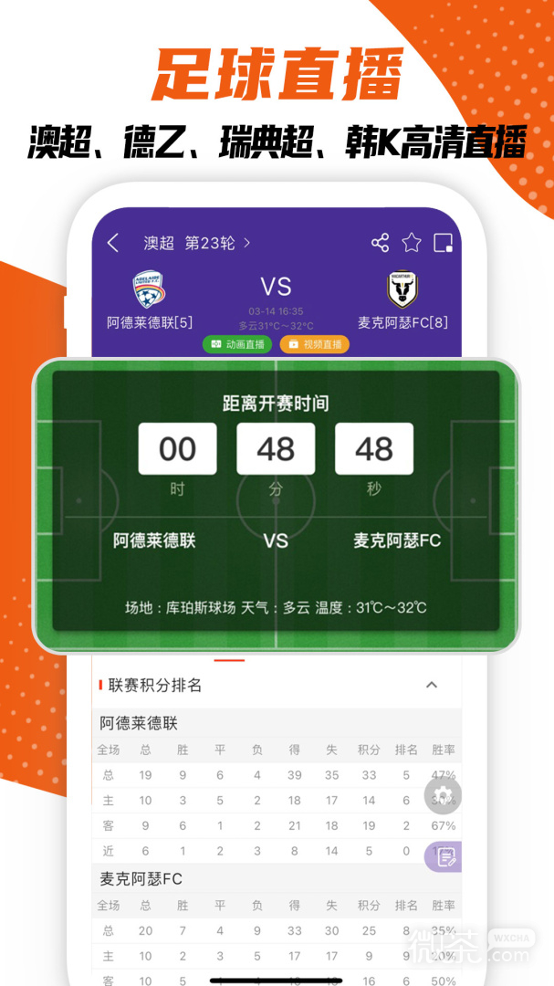 捷报比分