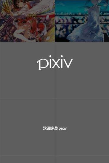 pixiv2022最新版