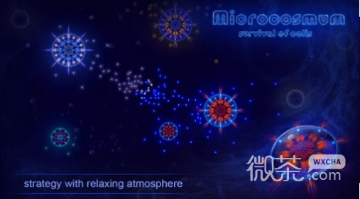 微生物模拟器完全版
