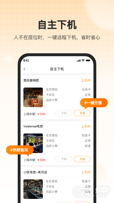 去上网