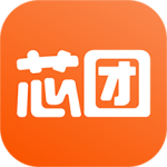 芯团网