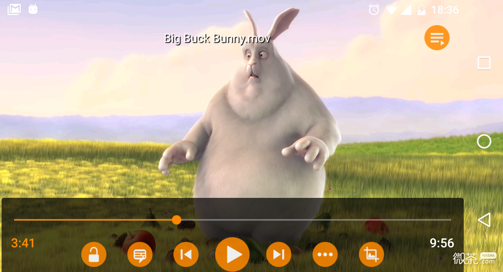 VLC Media Player