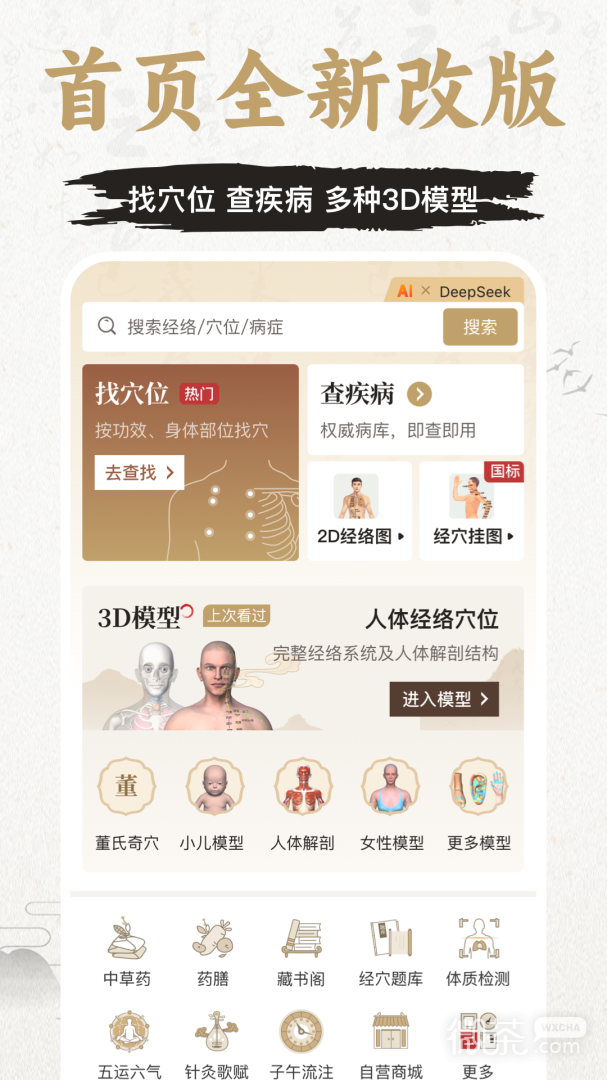 中济经络穴位