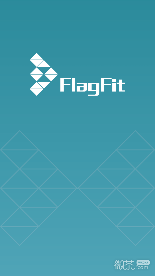 FlagFit