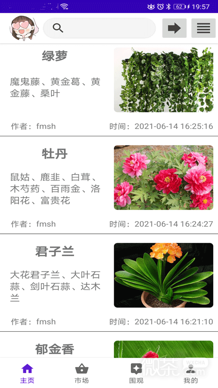 绿植花卉2024版