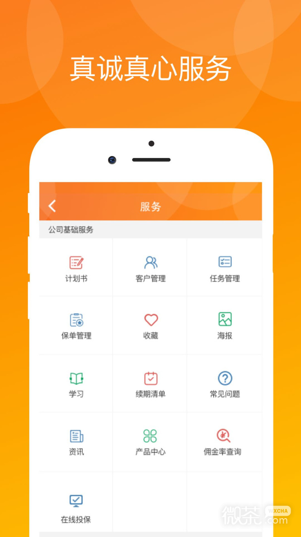 真保险