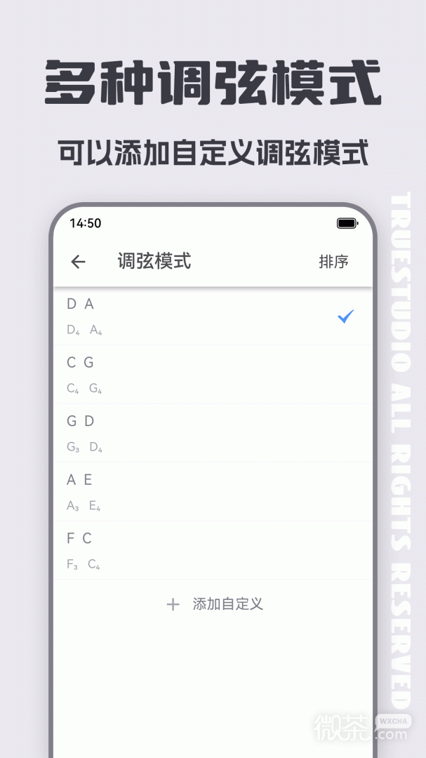 二胡调音器