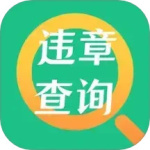 交通违章查询