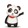 熊猫视界免费版