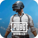 PUBG MOBILE KR