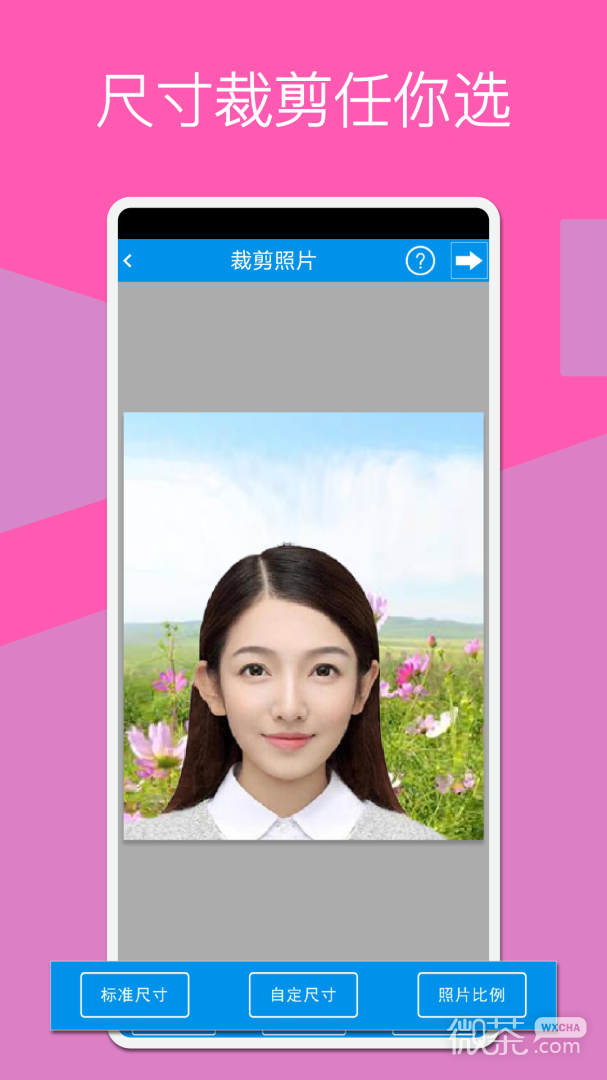 证件照换底