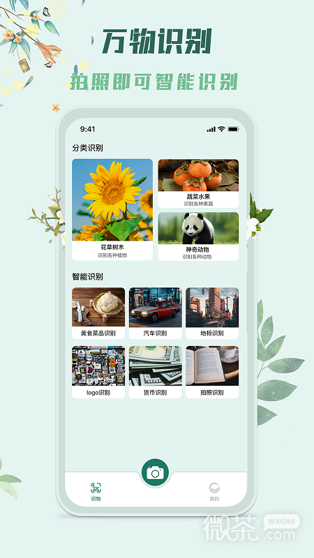 识花君