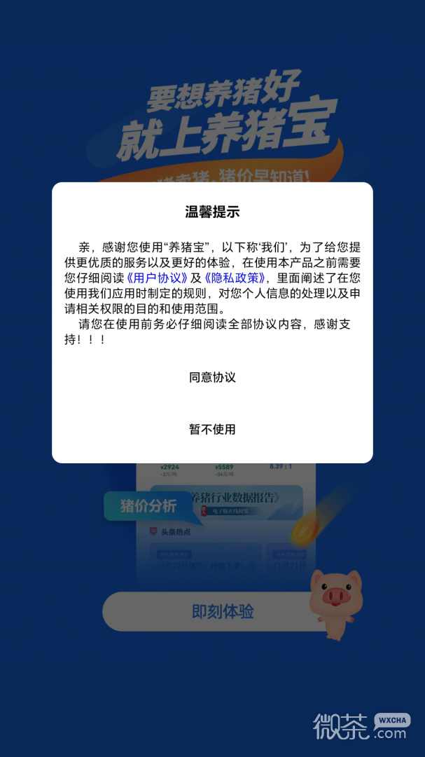 养猪宝