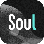 soul免登录版