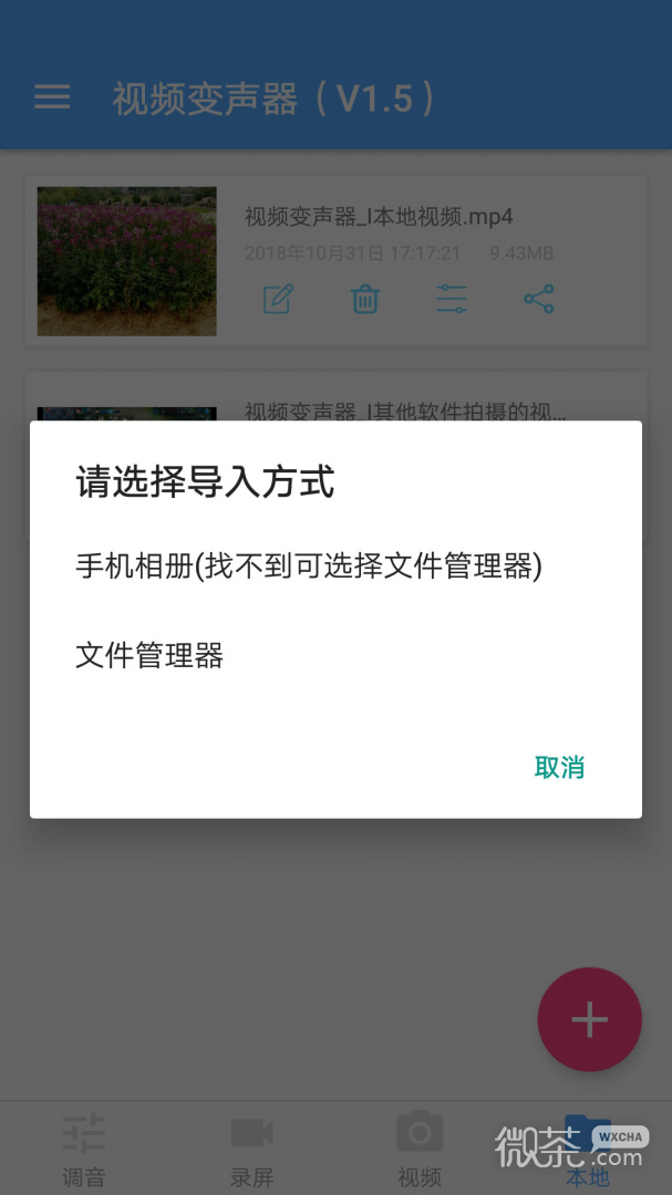 视频变声器