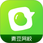 青豆网校