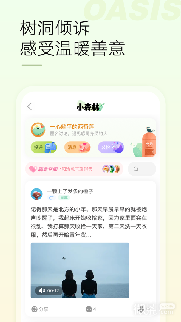 绿洲