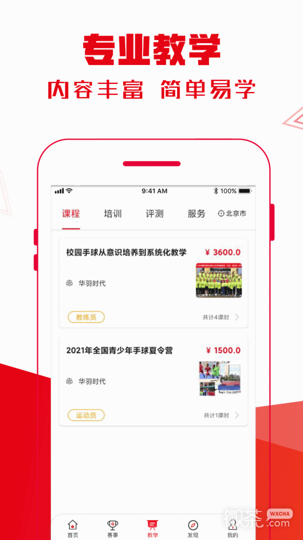 全手球
